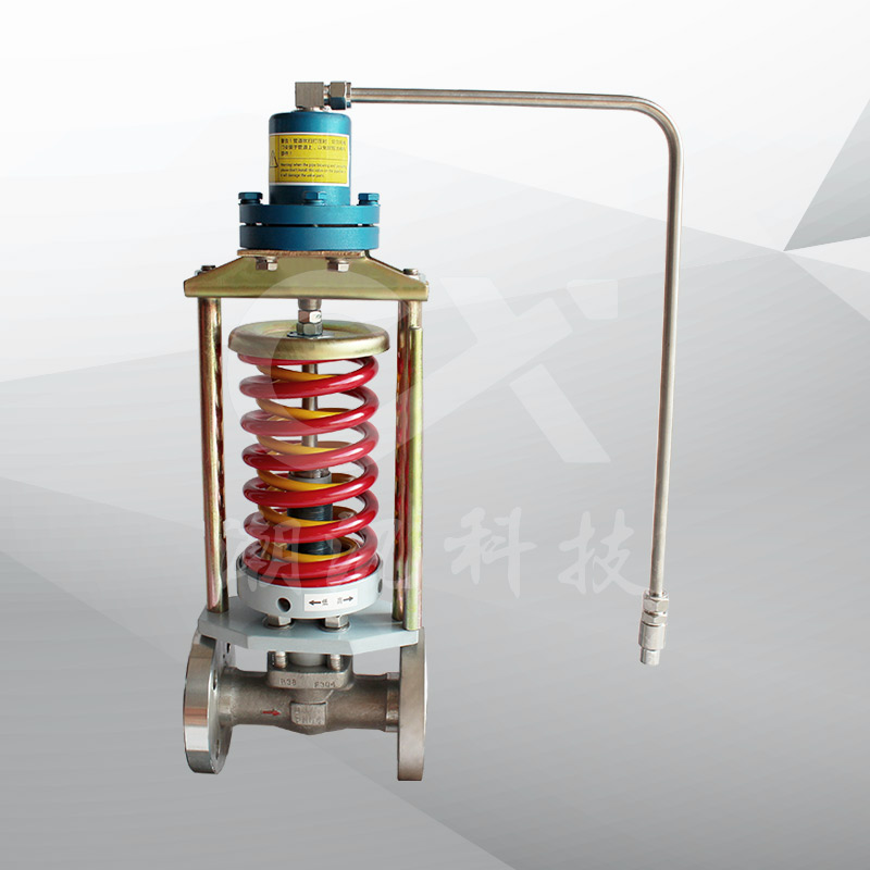 ZZYPE自力式压力调节阀（锻304）氢气型